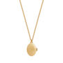 Robin and blackberry locket necklace by Fable England